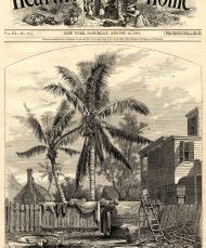 Vol. 19 – A Description of Key West on Christmas Eve, 1873