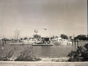 A marina with a fuel dock in the fireground