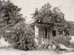 A cottage with overgrown vegetation in front of and around it.