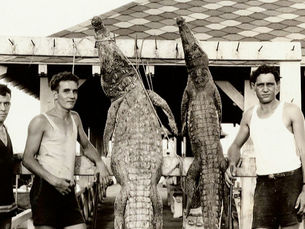 Three men with rifles stand next to two crocodile carcasses.