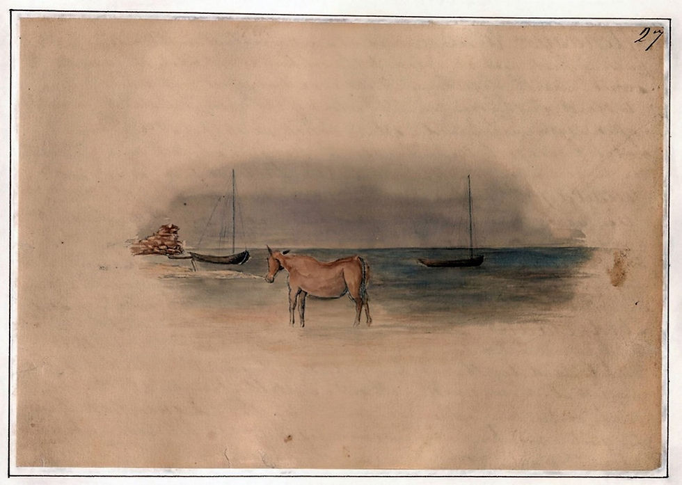 sketch of a mule standing in shallow water with small boats moored nearby.