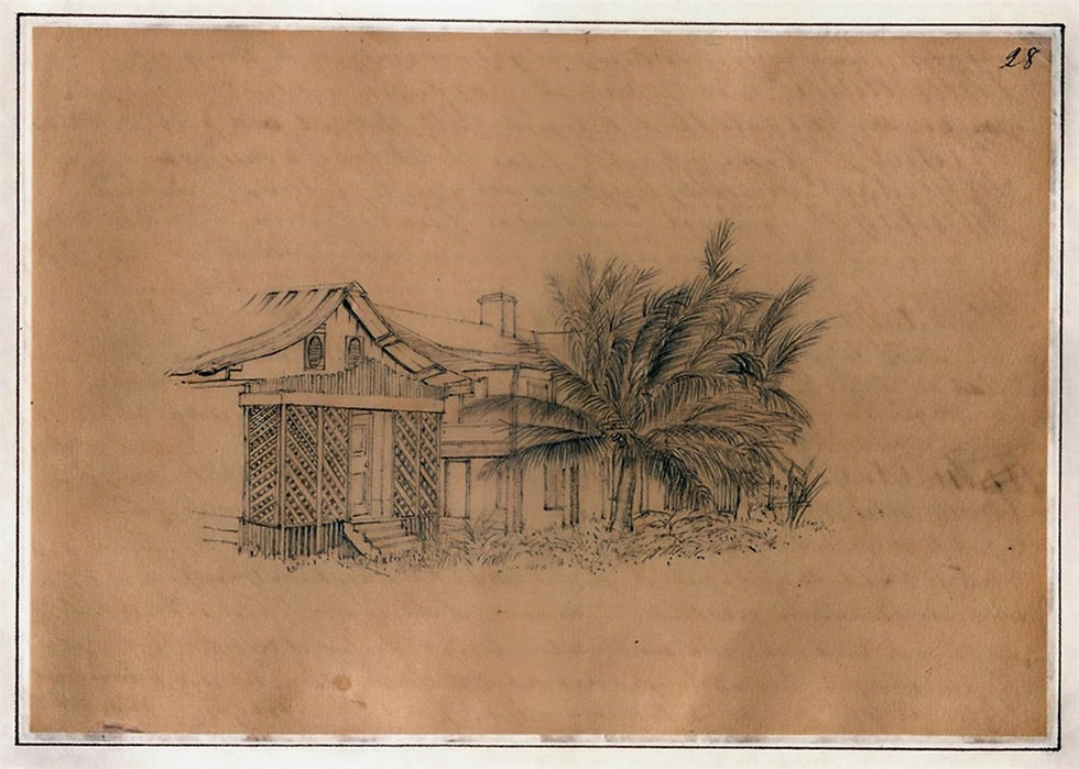 Sketch of a wooden house with coconut trees in front