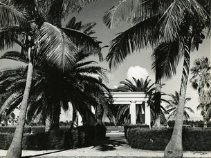 Palm trees in front of a pavilion