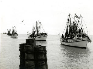 A line of shrimp boats with a pier in the foreground.