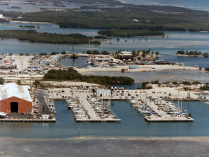 Aerial view of a marina