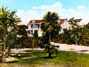 A two story building behind palm trees