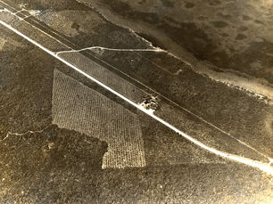 Aerial view of a shoreline with a road and agricultural plots