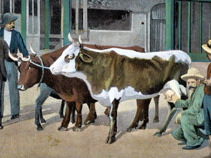 Painting of several cows and people on a street.