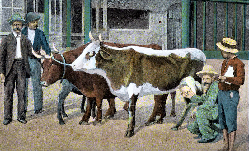 A painting of two cows and four people on a street.