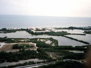 Aerial view of ponds with buildings and roads around them.