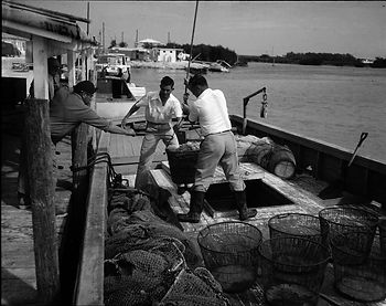 People unloading a basket from a boat to another person on a dock.