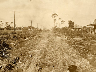 A dirt road going past cottages and palm trees
