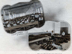 Postcard with two photos inset from the interior of a cigar factory, one labeled cigar makers at work, the other labeled cigars bundled for grading.