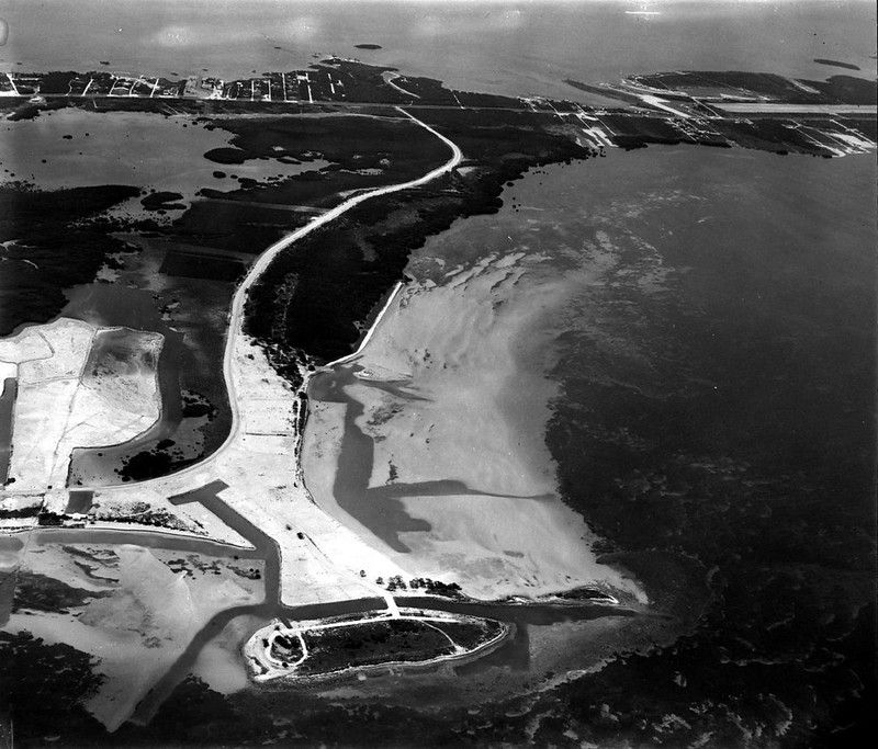 Aerial view of a shoreline with some scarified areas.