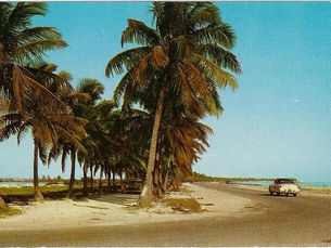 a 1950s style car on a road with water on the right and trees on the left.