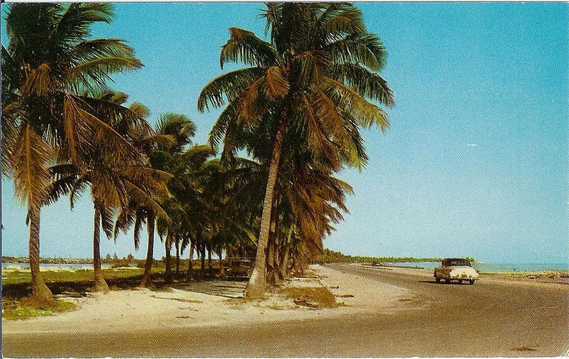 A 1950s style car driving down a road with water on the right and trees on the left.