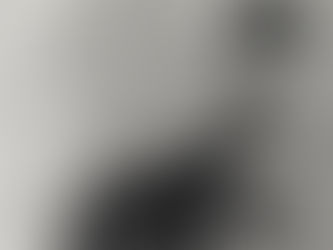 February 25