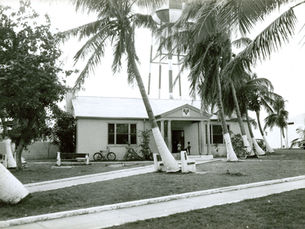A building with a water tower behind and palm trees in front.